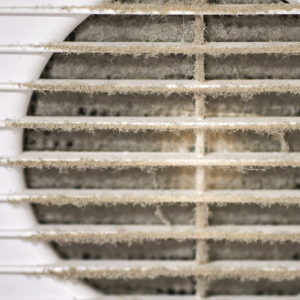 Stuart FL dryer vent and AC duct cleaning service