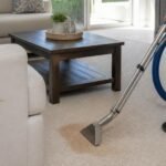 Carpet Stain Removal in Port St. Lucie: What Homeowners Should Know Before Scrubbing